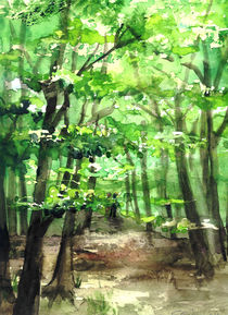 Sommerspaziergang im Wald von Dorothea "Elia" Piper