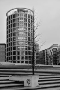 Little tree surrounded of concrete by Peter Steinhagen