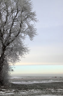 Winter am Deich - Winter on the dike von ropo13