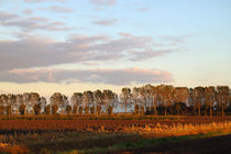 Abend in Ostfriesland - Evening in East Frisia by ropo13