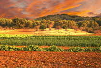 Landschaft auf Mallorca by pahit