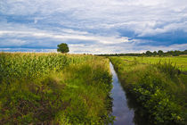 Landschaft, Holsteiner Auenland von pahit