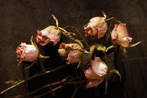 Vanitas 2, Rosen von pahit