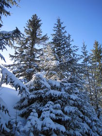 Winter in den Bergen by Anne Rösner-Langener