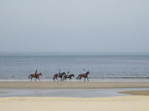 Ausritt an der Nordseeküste by Anne Rösner-Langener