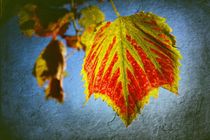 Herbstzeit by Andrea Meyer