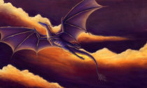 Sunset Dragon von Starla Friend