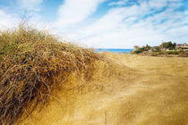 Landschaft - Side  von Städtecollagen Lehmann