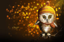OWL von Fernando Rodriguez