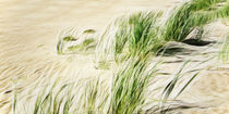 Nordsee - Strand  von Städtecollagen Lehmann