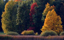 Herbstzauber by Wolfgang Dufner