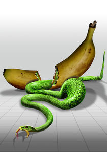 MambaEatsBanana von Peter Holland