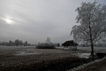 Nebel von Hubert Hämmerle