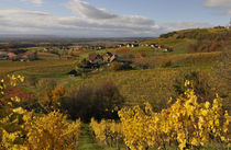 Herbststimmung by Hubert Hämmerle