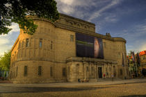 Landesmuseum für Vorgeschichte von Sven Dressler