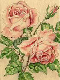 Rose Original von Norbert Hergl
