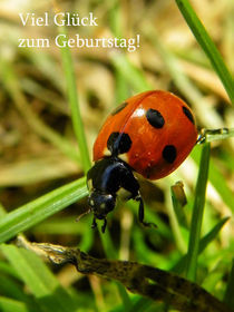 Viel Glück zum Geburtstag! von Norbert Hergl