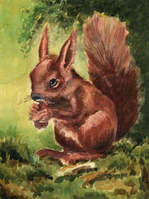 Eichhörnchen von Norbert Hergl