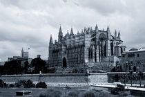 Kathedrale in Palma von Frank Walker