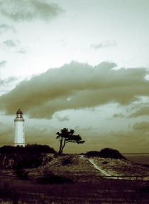 Leuchtturm auf Hiddensee von André Schuckert