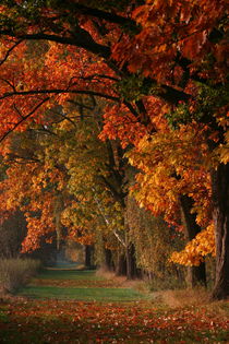 Herbstzeit von Jana Behr