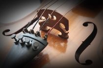 Geige by artpic