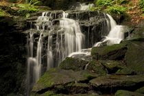 Muglbach Wasserfall von Jürgen Mayer