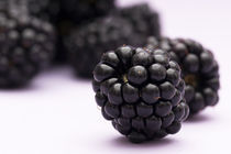 Brombeeren von Matthias Faller