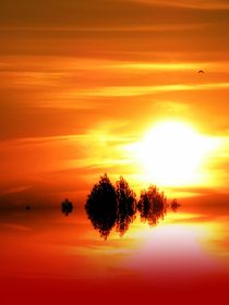 Roter Sonnenuntergang von tcl