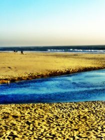 The Windy Beach! von tcl