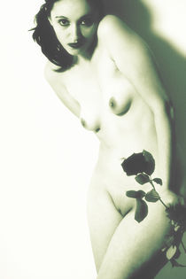 La rose de l´amour Aktfotografie by Falko Follert