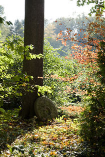 Muehlenstein im Herbstlicht by Falko Follert