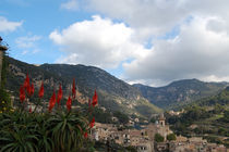 Valldemossa - Panorama von julita