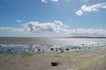 Strand von Dublin III von julita