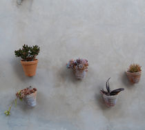 Topfblumen an der Wand von julita