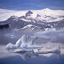 KLEINER EISBÄR by Rainer Elpel