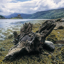 EILEAN DONAN CASTLE by Rainer Elpel