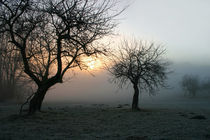 Mystischer Morgennebel von mercedes