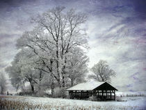 Winteridylle by Mathias May