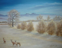 Rehe im winter von Jürg Meyerholz