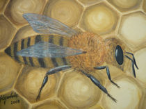 Honigbiene von Jürg Meyerholz