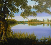 Weide am See by Jürg Meyerholz