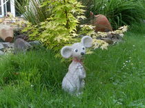 Eine kleine Maus im Garten by monika beging