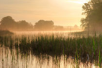 Morgengrauen am Kühnauer See by Sebastian Kaps