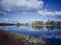 Elbe by Sebastian Kaps