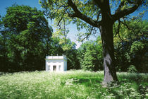 Vasenhaus im Beckerbruch von Sebastian Kaps