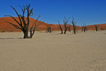 Deadvlei by Günter Franz Müller