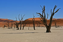 Deadvlei by Günter Franz Müller