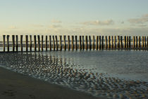 Pfähle am Strand by Simon Bernard