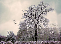 winterlicher Schloßpark by Bernhard Kosten